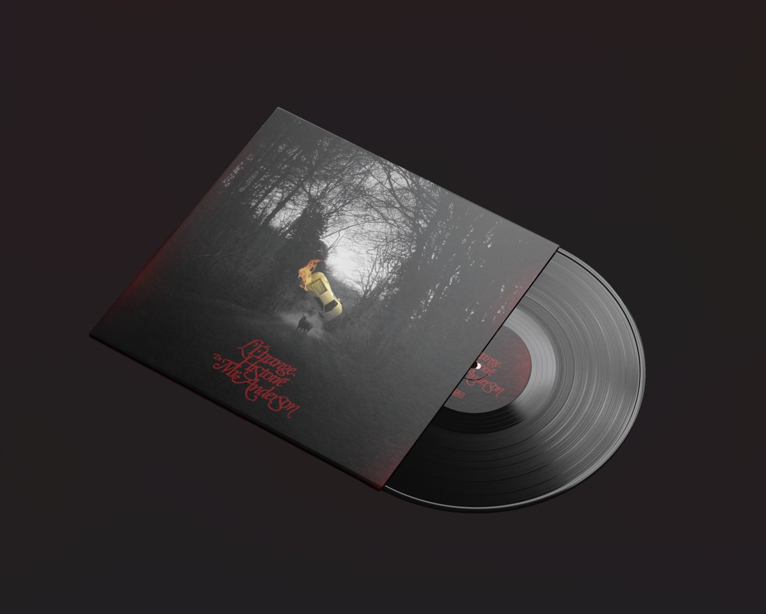 Pochette vinyle